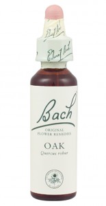 What is Bach Remedy? - Pro Holistic - Information on the Bach Remedy