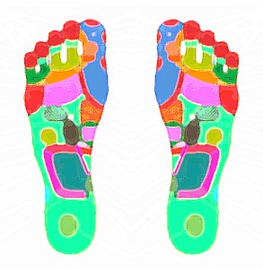 What is Reflexology? - Pro Holistic - Dr. William Fitzgerald